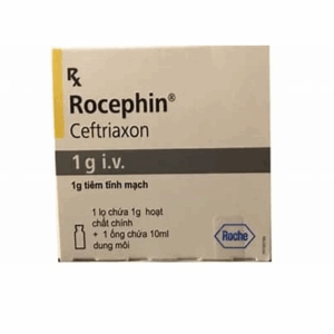 CEFTRIAXONE (ROCEPHIN 1G I.V) 1G