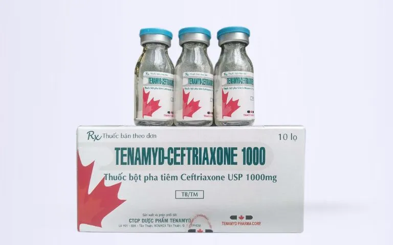 Ceftriaxon 1g Ceftriaxon 1g