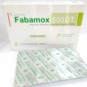 FABAMOX 500 DT
