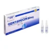 GENTAMICIN (GENTAMYCIN 80MG) 80MG-2ML